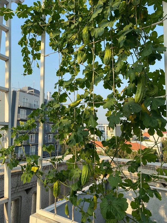 2 hoa hậu đẹp nức tiếng cùng lấy đại gia: Ở biệt thự sức chứa 200 người, có thang máy-6