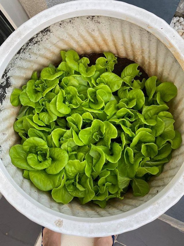 2 hoa hậu đẹp nức tiếng cùng lấy đại gia: Ở biệt thự sức chứa 200 người, có thang máy-7