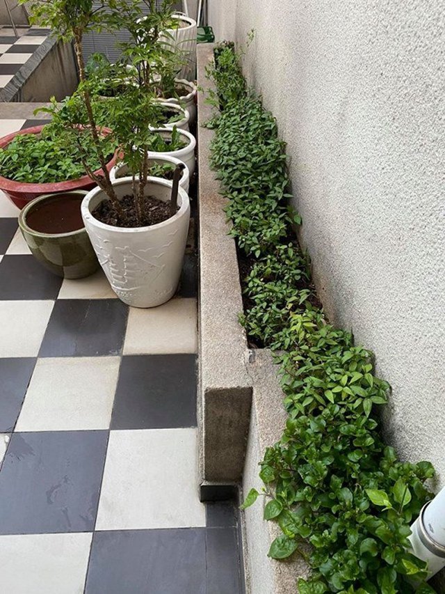 2 hoa hậu đẹp nức tiếng cùng lấy đại gia: Ở biệt thự sức chứa 200 người, có thang máy-8