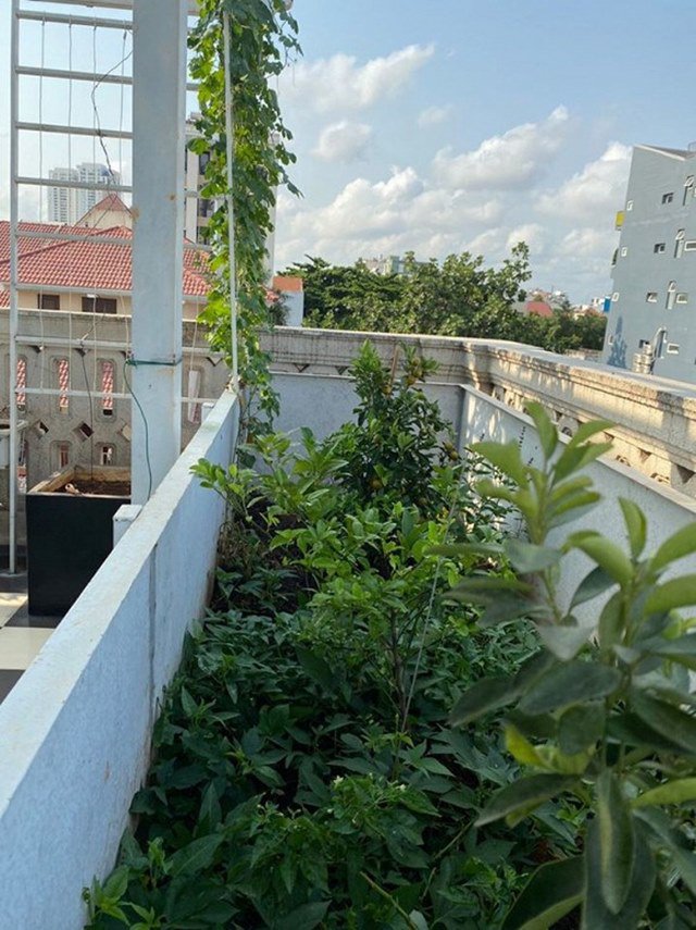 2 hoa hậu đẹp nức tiếng cùng lấy đại gia: Ở biệt thự sức chứa 200 người, có thang máy-9