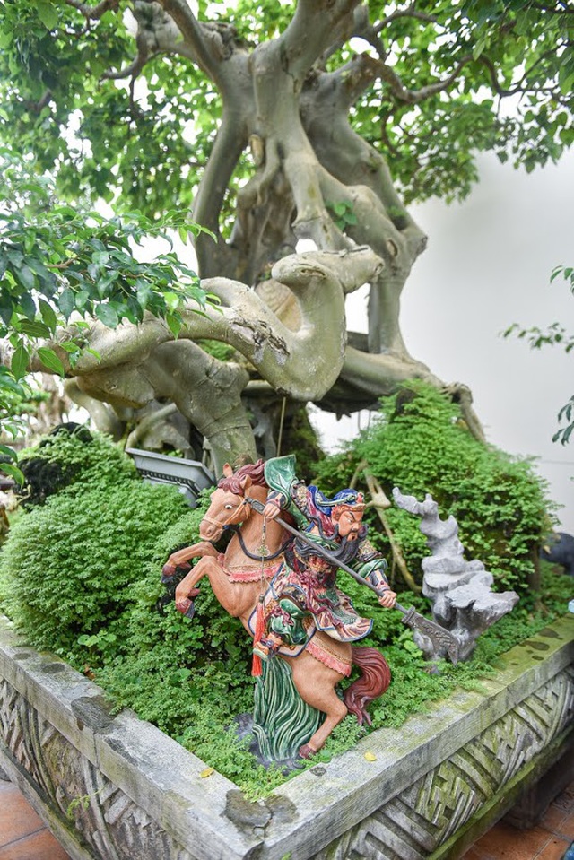 Ngắm bồ đề đắc đạo hàng trăm năm tuổi khiến đại gia khao khát săn lùng-7