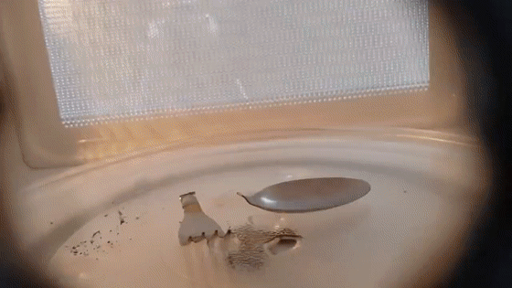 10 thứ không được cho vào lò vi sóng, không những tính mạng bị đe dọa mà còn nguy hiểm cho cả gia đình-2