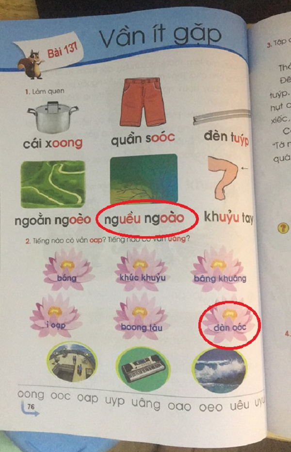 Tranh cãi sách giáo khoa Tiếng Việt lớp 1: ‘Nghều ngoào’ hoặc ‘nguều ngào’, đàn oóc hoặc đàn organ-1