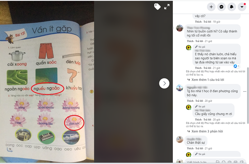 Tranh cãi sách giáo khoa Tiếng Việt lớp 1: ‘Nghều ngoào’ hay ‘nguều ngào’, đàn oóc hay đàn organ-2