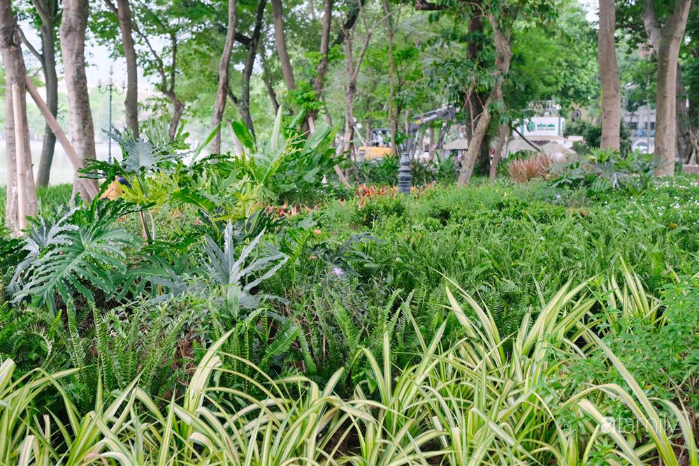 Hồ Gươm thay áo mới, người Hà Nội rủ nhau đi dạo trên vỉa hè lát đá đẹp như công viên ở trời Âu, tận hưởng tiết trời thanh mát đầu đông-10