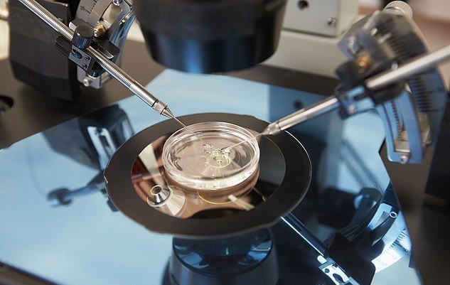 Bác sĩ ở Hà Lan bí mật làm cha 17 đứa trẻ bằng tinh trùng của mình-1