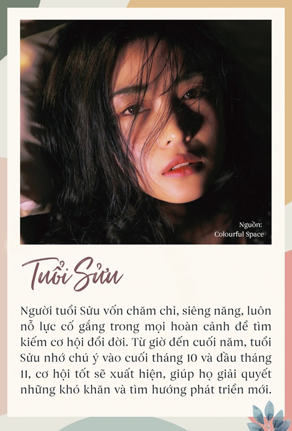 Trong vòng 3 tháng tới, đâu là tháng mà 12 con giáp sẽ phát tài thăng hoa, chỉ cần nắm bắt thời cơ thì cuối năm viên mãn-2