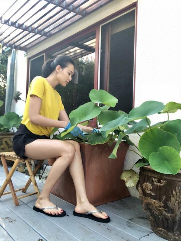 Dương Mỹ Linh khoe hái sương sương cả bồ nhãn nhưng nhìn toàn khu vườn mới choáng-16