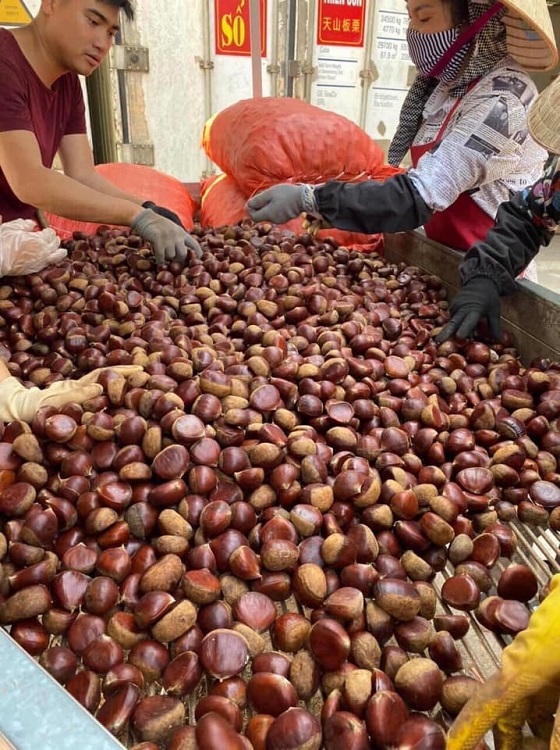 Hà Nội vào đông, tiểu thương đếm tiền mỏi tay nhờ bán loại hạt vạn người mê”-1