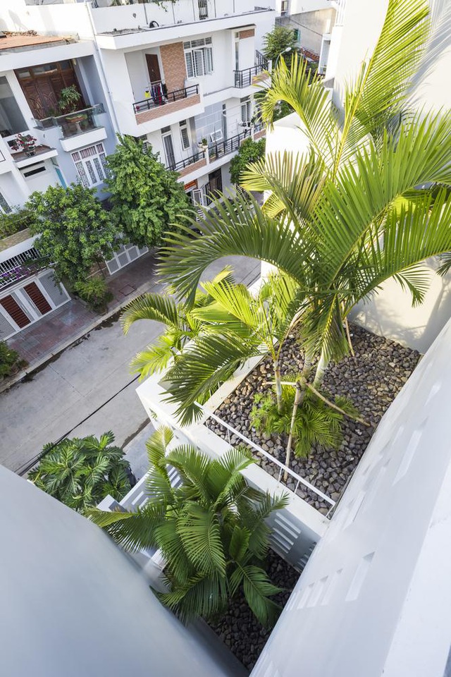 Ngôi nhà có 300 cửa sổ, gia chủ mỗi tháng chỉ tốn 200.000 đồng tiền điện-8