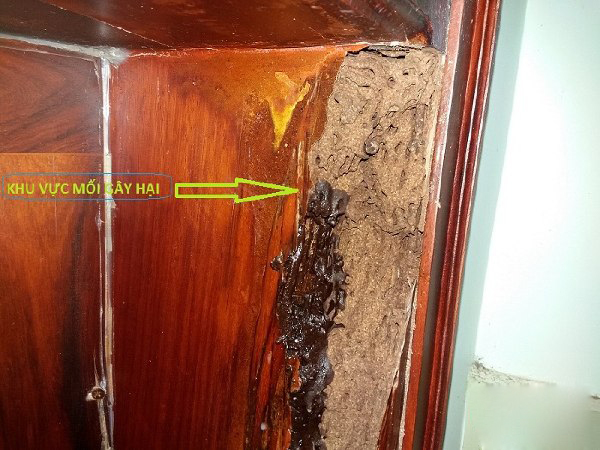 6 điều cấm kỵ và 4 điều bắt buộc khi sử dụng đồ gỗ: Nếu chưa biết tốt nhất không nên sắm làm gì!-9