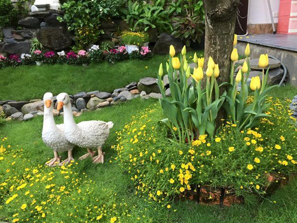 25 năm đi hát kiếm núi tiền, Đàm Vĩnh Hưng giờ có sở thích bình dân trong nhà 60 tỷ-9