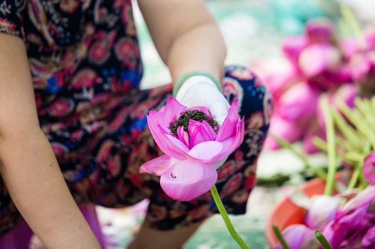 Đại gia Hà Nội tìm mua đệ nhất trà đắt nhất Việt Nam giá 10 triệu đồng/kg-2