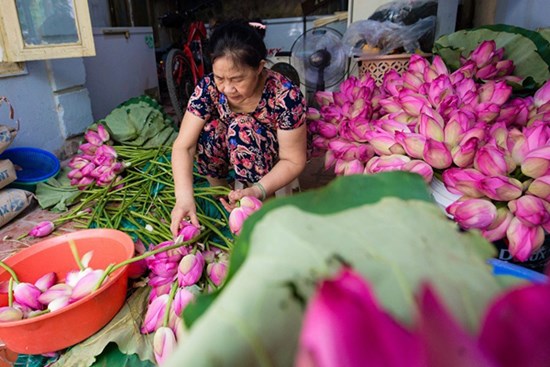 Đại gia Hà Nội tìm mua 'đệ nhất trà' đắt nhất Việt Nam giá 10 triệu đồng/kg