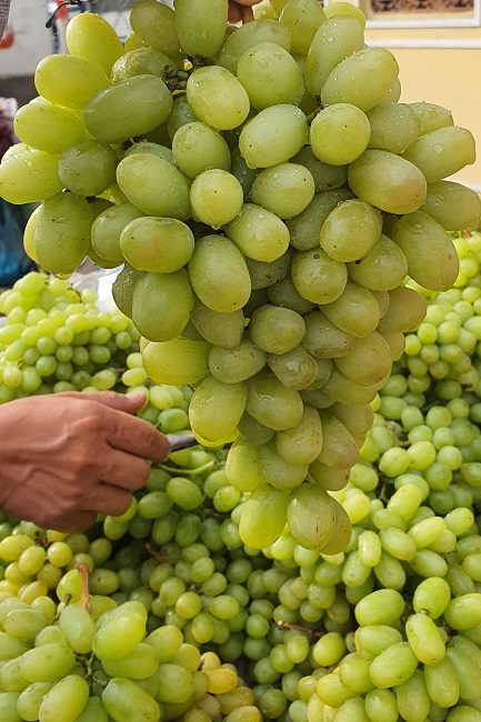 Nho xanh không hạt giá siêu rẻ” bán tràn lan, người trồng nho ở Ninh Thuận nói gì?-2