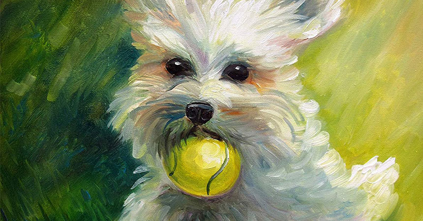 Từ giữa tháng 10 đến cuối năm, 4 con giáp dưới đây tài vận bừng sáng cuộc sống giàu có bất ngờ-2