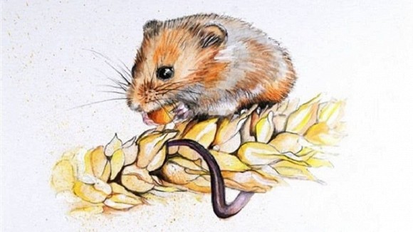 Từ giữa tháng 10 đến cuối năm, 4 con giáp dưới đây tài vận bừng sáng cuộc sống giàu có bất ngờ-3