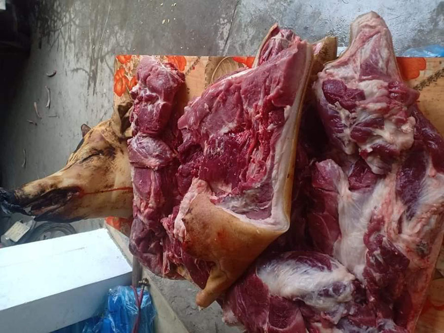 Nhà giàu cuối tuần về bản, bỏ chục triệu mổ con lợn rừng ăn dần-3