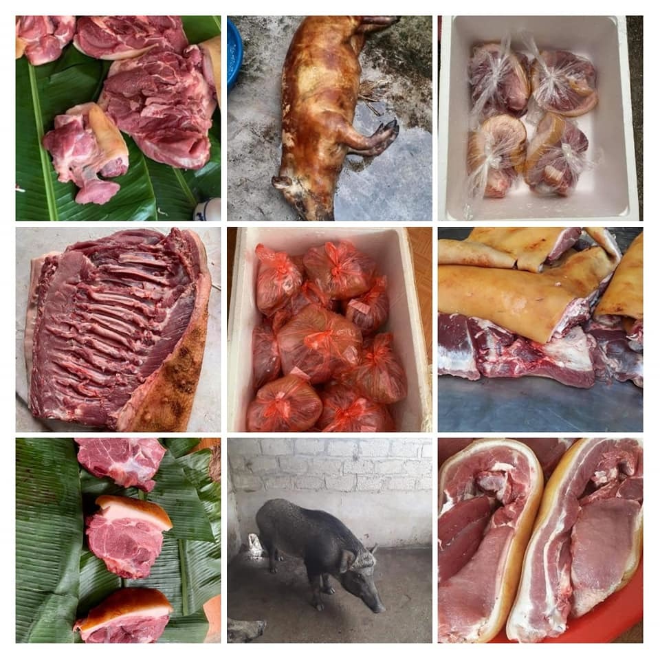 Nhà giàu cuối tuần về bản, bỏ chục triệu mổ con lợn rừng ăn dần-6