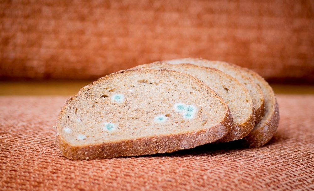 Độc gấp 68 lần asen và 10 lần kali xyanua, thứ chất độc hạng nhất mà WHO cảnh báo hóa ra rất dễ sinh sôi trên 4 món đồ dùng trong nhà bạn-3