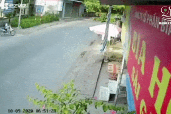 Video: Đứng ra hiệu cho xe container lùi, người đàn ông bị kẹp chặt vào tường tử vong-1
