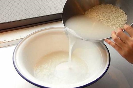 Vo gạo xong đổ nước ra vườn, 1 tuần sau cây mọc rễ chi chít, hoa tuôn như suối