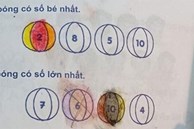 Góc rối não: Bài toán lớp 1 với đề bài chọn ngẫu nhiên bi xanh - bi đỏ khiến dân mạng tranh cãi nảy lửa vì đánh đố cả phụ huynh lẫn học sinh