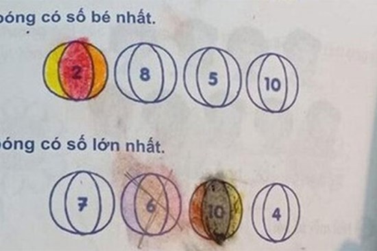 Góc rối não: Bài toán lớp 1 với đề bài chọn ngẫu nhiên bi xanh - bi đỏ khiến dân mạng tranh cãi nảy lửa vì đánh đố cả phụ huynh lẫn học sinh