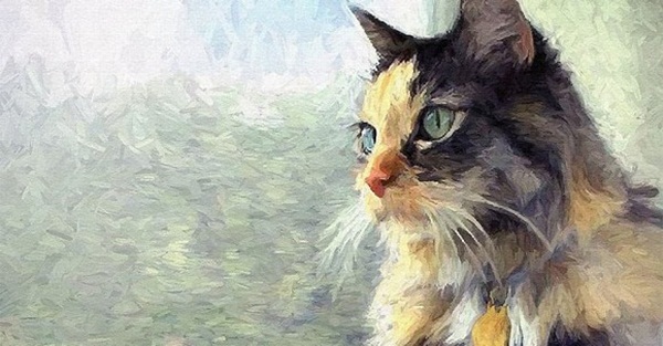 Tuần tới, top 3 con giáp dễ bị hung tinh theo sát, vận đen đeo bám, khốn khó đủ đường-2