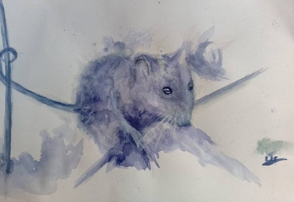 Tuần tới, top 3 con giáp dễ bị hung tinh theo sát, vận đen đeo bám, khốn khó đủ đường-3