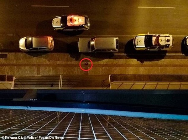 Nữ luật sư bị ném chết từ tầng 4, hình ảnh cuối cùng của nạn nhân vật lộn với chồng trong thang máy khiến ai cũng rùng mình-2