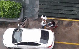 Bế con nhỏ trên tay, người chồng lao tới đấm, đá vợ dã man giữa sân chung cư-1