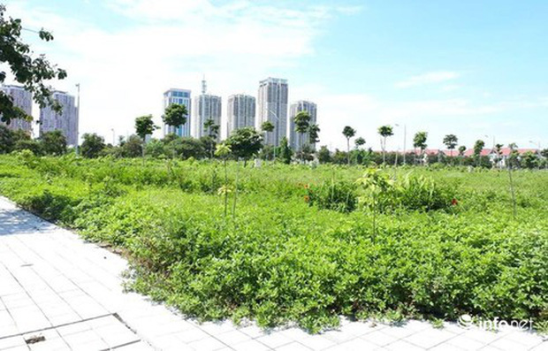 Nghe bạn nhậu, giấu vợ rút tiền, bán vàng dành cưới con để sập bẫy... đất vịt giời-1