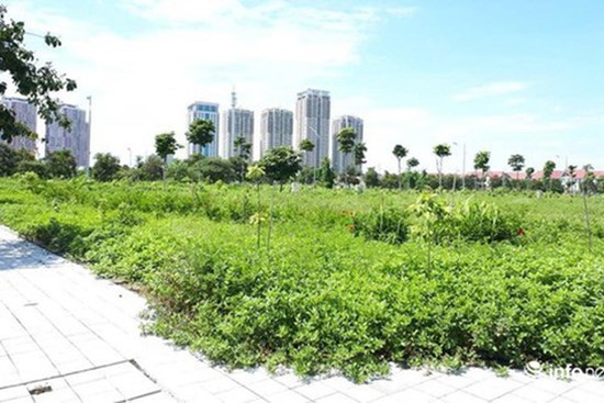 Nghe bạn nhậu, giấu vợ rút tiền, bán vàng dành cưới con để 