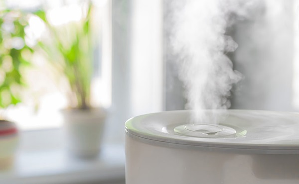 Sử dụng máy tạo ẩm sai cách có thể gây ra những tác hại lớn, nghe xong ai cũng giật mình-2