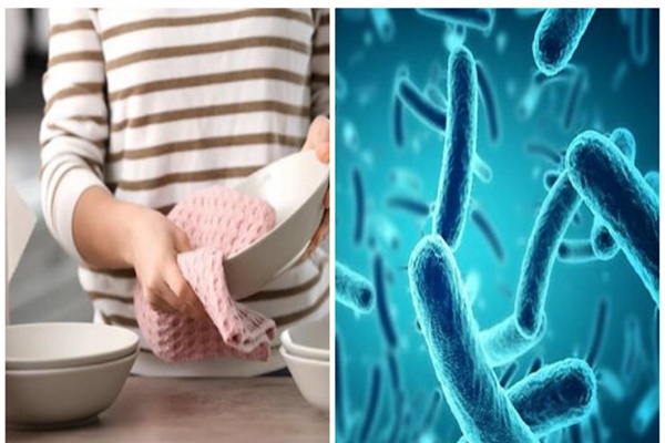 Đừng vội vứt vỏ táo đi, bạn có thể biến chúng thành kho báu chỉ trong một bước đơn giản, không biết cẩn thận hối tiếc!-9