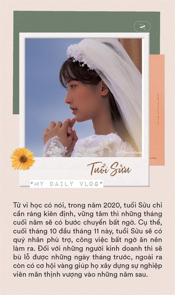 Cuối tháng 10 đầu tháng 11 ai khổ thì khổ nhưng 3 con giáp này khổ tận cam lai, công việc khởi sắc kéo theo tài vận rủng rỉnh-3