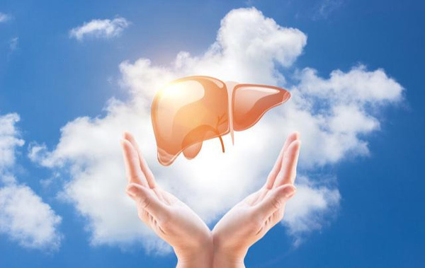 Món nhiều người Việt thích ăn hàng ngày tàn phá gan-2