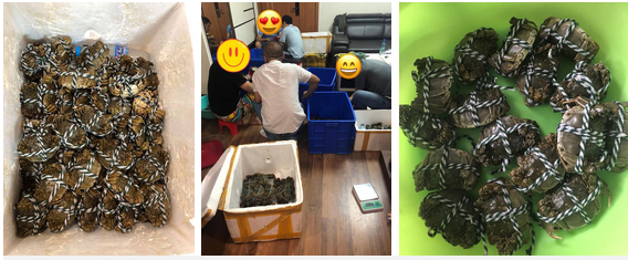 Cua lông về Việt Nam đang loạn giá, người tiêu dùng bất ngờ vì siêu rẻ, có nơi bán 70K/con-2