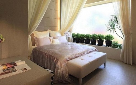 Những cây cảnh nào nên và không nên đặt trong phòng ngủ?-6