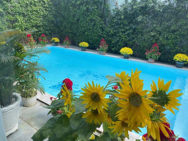 Quách Ngọc Ngoan, Phượng Chanel đăng ảnh trong ngày giỗ bố, lộ nơi đang ở của 2 vợ chồng-12