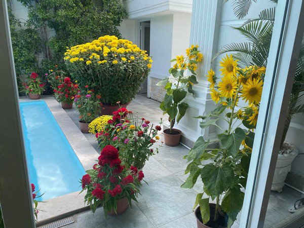 Quách Ngọc Ngoan, Phượng Chanel đăng ảnh trong ngày giỗ bố, lộ nơi đang ở của 2 vợ chồng-13