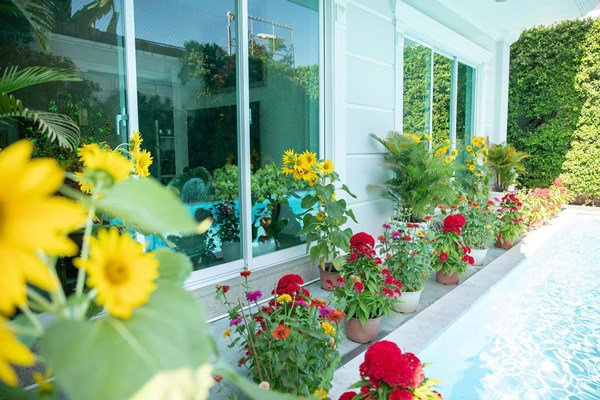 Quách Ngọc Ngoan, Phượng Chanel đăng ảnh trong ngày giỗ bố, lộ nơi đang ở của 2 vợ chồng-16