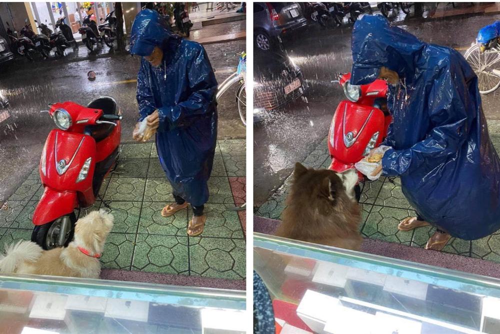 Ông cụ say xỉn ngày nào cũng dừng xe đạp trước cửa nhà người lạ để ghé thăm hai người bạn đặc biệt, có hôm còn đội mưa đem bánh đến tâm sự khiến nhiều người ngỡ ngàng-2