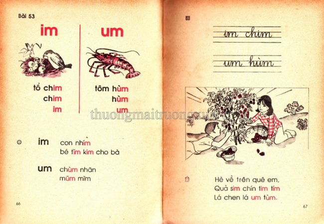 Cần gì truyện ngụ ngôn La Phông-ten hay Lép Tônxtôi, sách Tiếng Việt cũ toàn những bài thơ cây nhà lá vườn mà ai cũng mê đến tận bây giờ-17