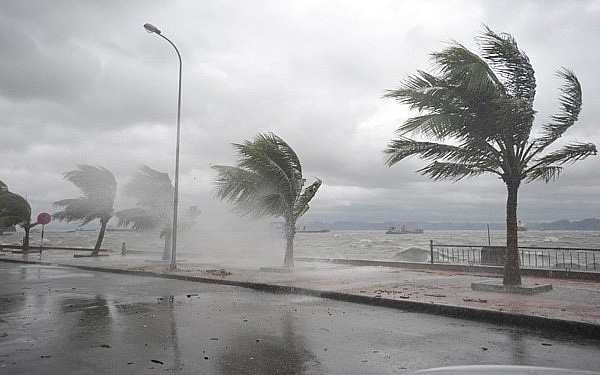 Áp thấp nhiệt đới mạnh dần lên khi đổ bộ vào đất liền, các tỉnh Trung Bộ tiếp tục mưa to đến rất to nhiều ngày-1