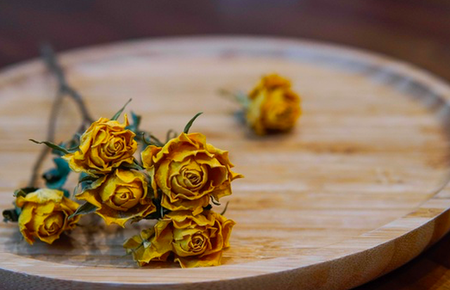 Hoa thật như giả, 9 tháng không héo, tưởng hàng Trung Quốc ướp thuốc-6