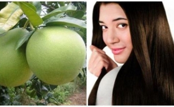 Hóa ra bỏ vỏ bưởi vào tủ lạnh lại có tác dụng thế này, thậm chí còn rất hữu ích vào mùa đông-3