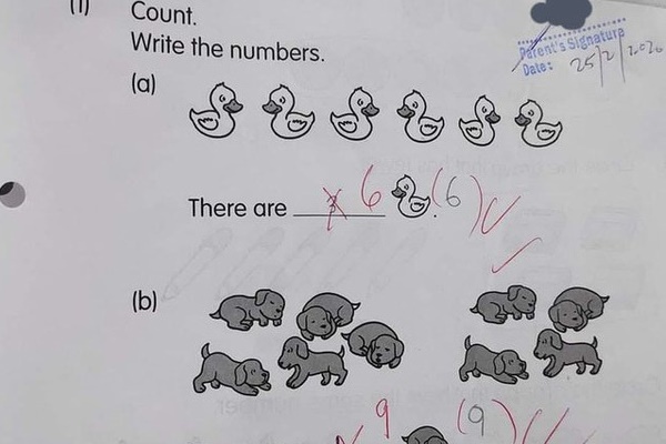 Bài Toán lớp 1 gây tranh cãi: Cho 4 cam chín, 3 cam xanh. Hỏi điền phép trừ nào hợp lý?-2