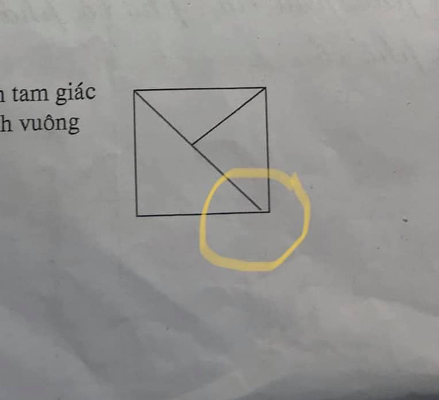 Con gái đếm 4 tam giác nhưng bị gạch sai, người mẹ chất vấn giáo viên liền nhận về lời giải tâm phục khẩu phục-2